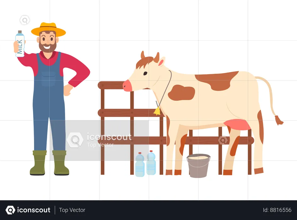 Agricultor recolhe leite de vaca  Ilustração