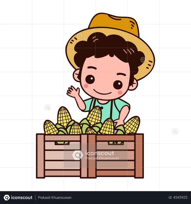 Agricultor coletando colheita de milho  Ilustração