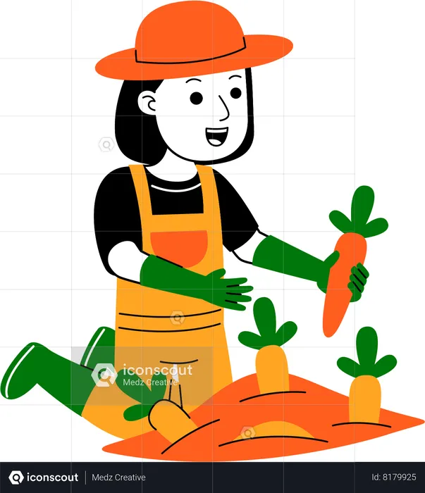 Agricultor cosechando zanahoria  Ilustración