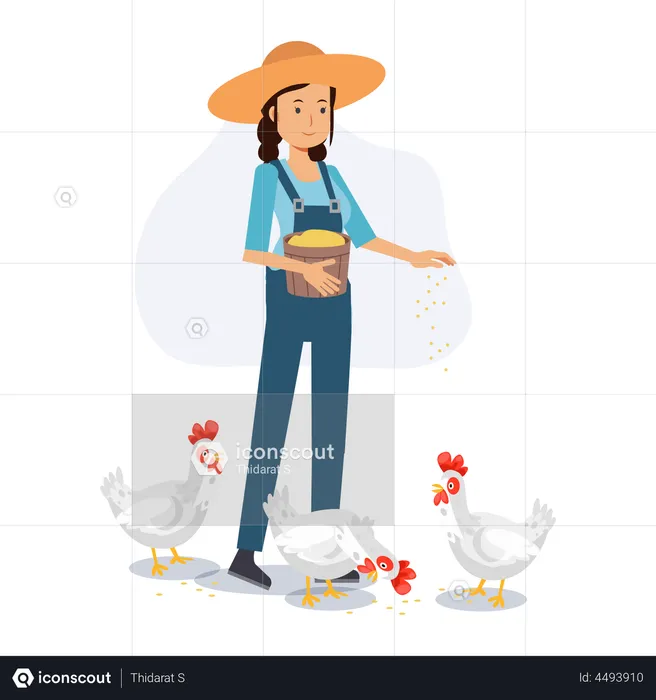 Feliz agricultora está alimentando frango  Ilustração