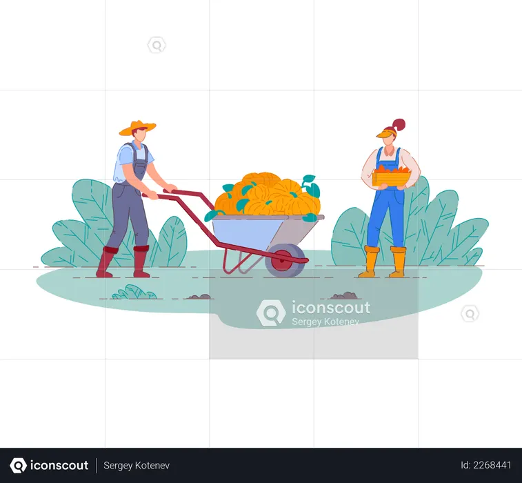 Agricultores colhendo frutas  Ilustração