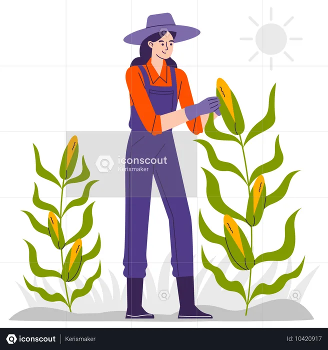 Une agricultrice dans une ferme de maïs  Illustration