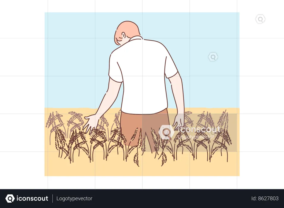 Agriculture, farming, agronomy concept  Illustration