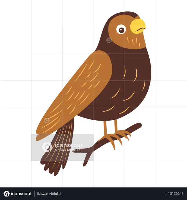 Águia fofa no galho da árvore  Ilustração