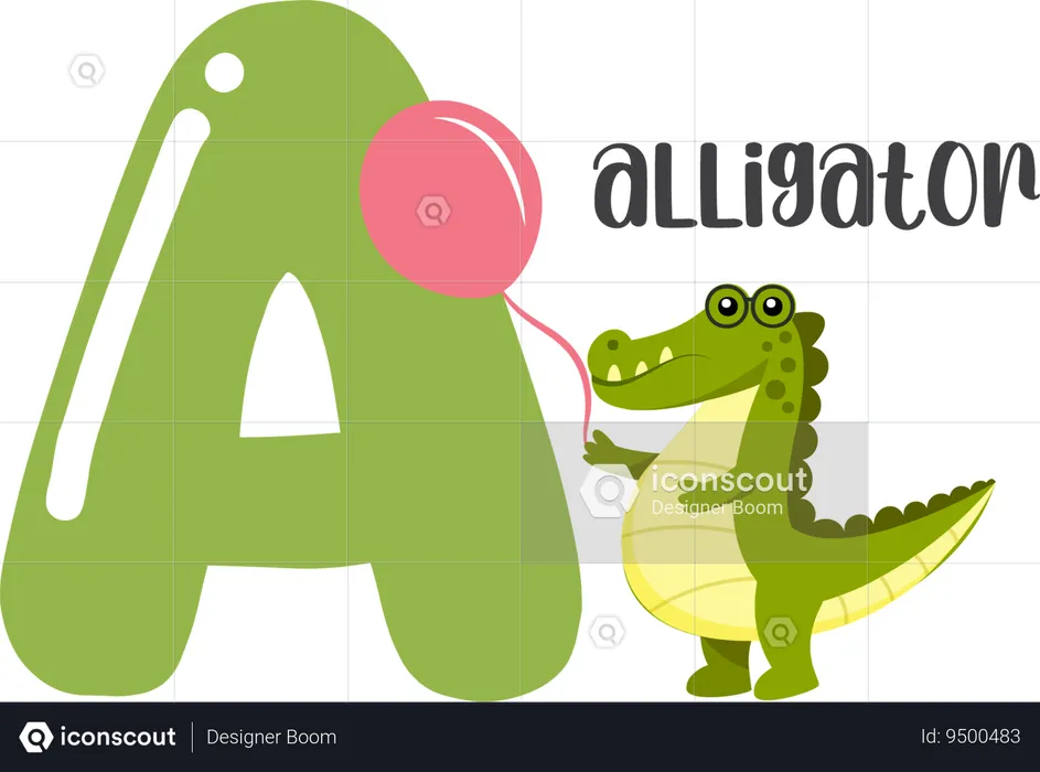 Alligator  Illustration