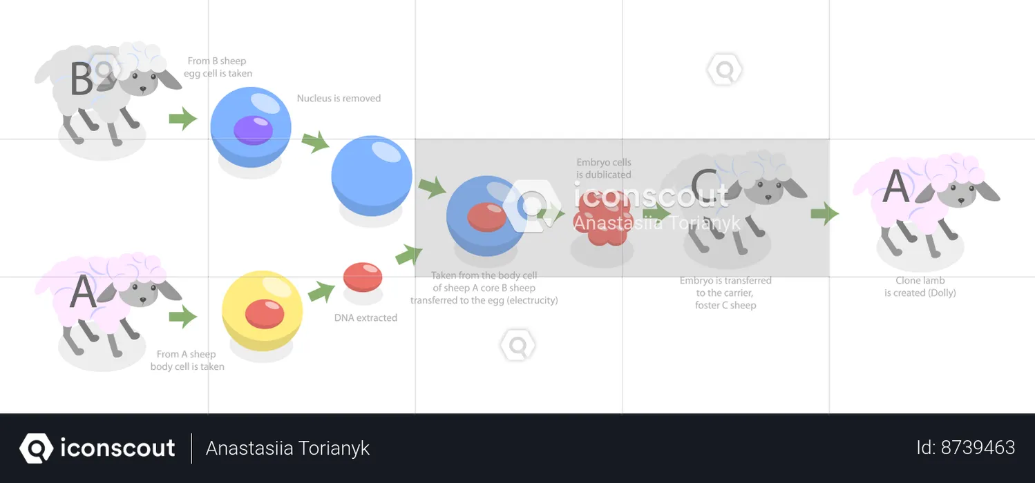 Animal Cloning  Illustration