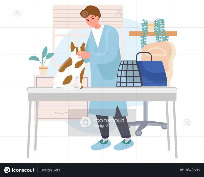 Animal doctor doing check up of dog  Illustration