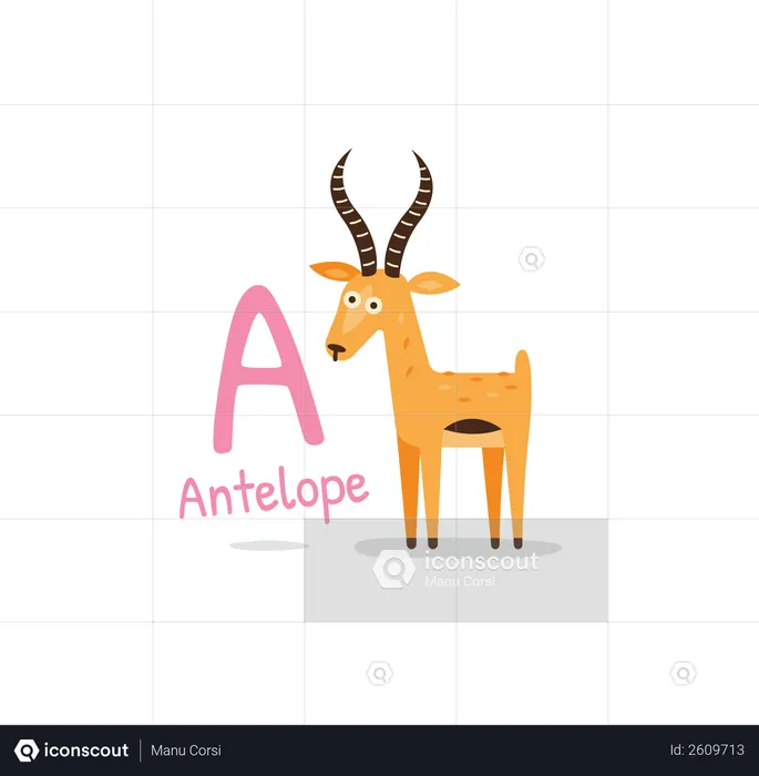 Antelope  Illustration
