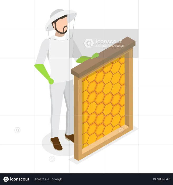 Apiculture  Illustration