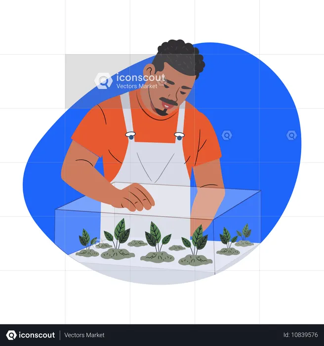 Aquaponics  Illustration