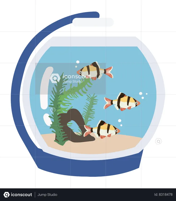 Aquarium Fish  Illustration