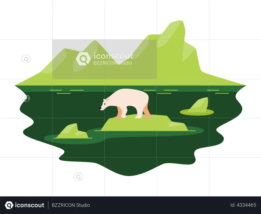 Arctic bear  Illustration