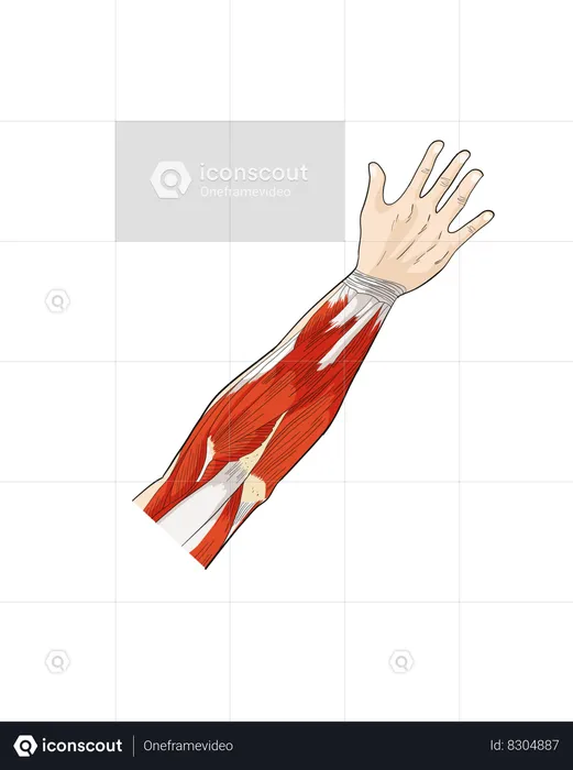 ARM  Illustration