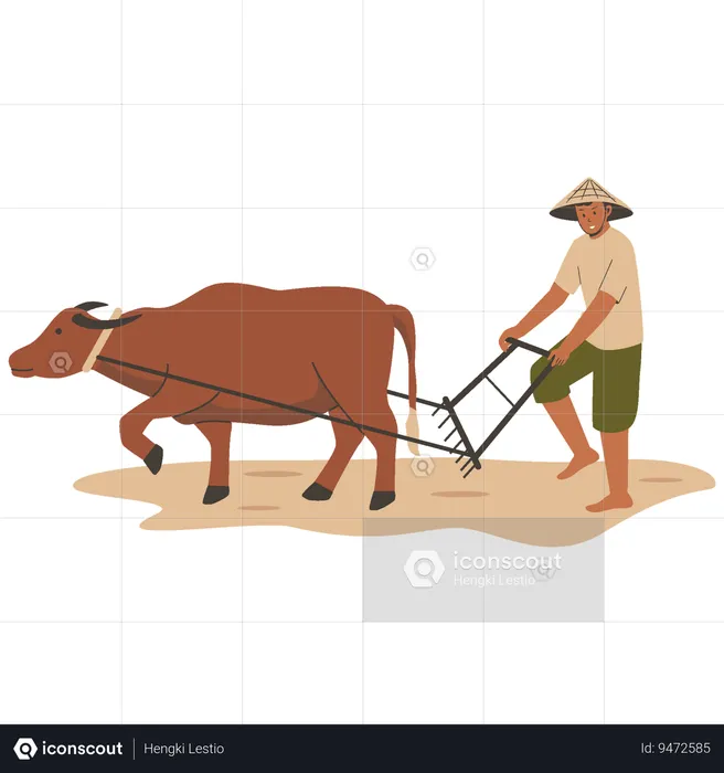 Asian farmer plowing rice field with buffalo  Illustration