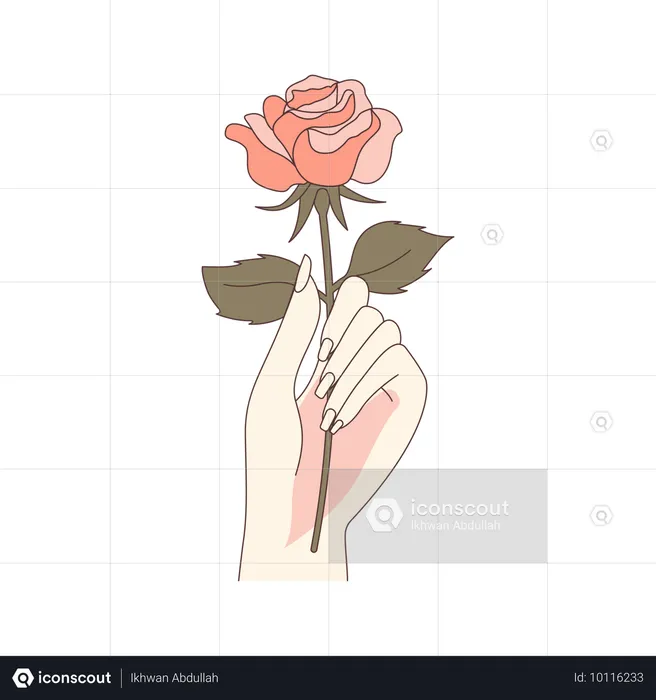 Ästhetische Frau Hand Halten Schöne Rose Blume Blumen  Illustration