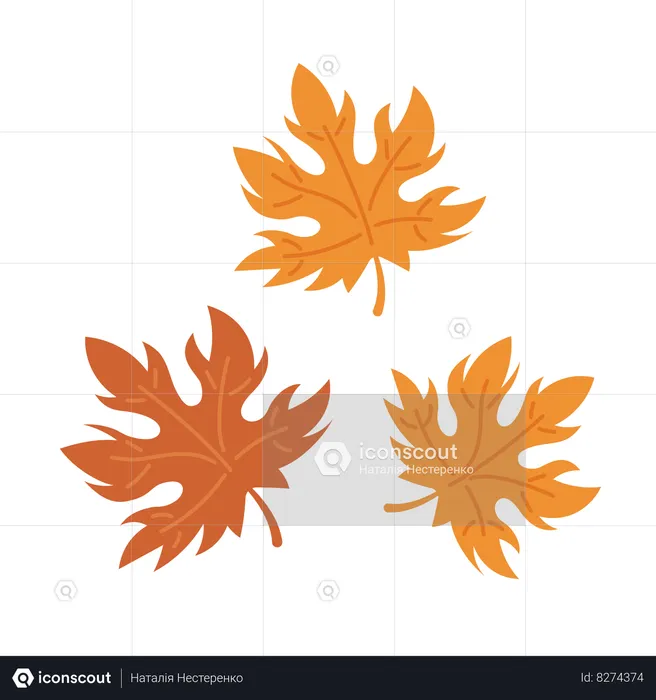 Autumnal maple leaves  Illustration