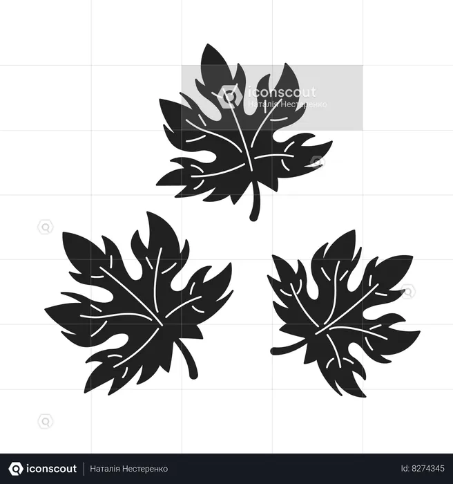 Autumnal maple leaves  Illustration