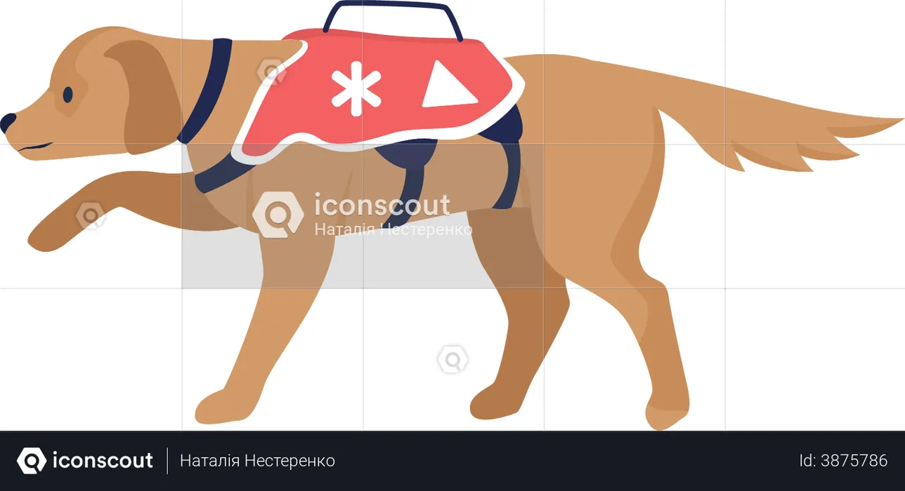 Avalanche rescue dog  Illustration