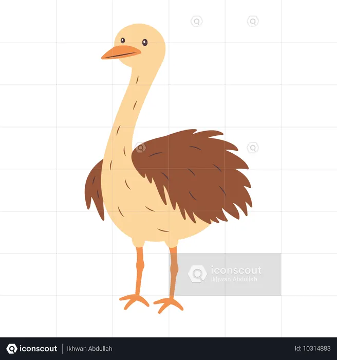 Avestruz fofo  Ilustração