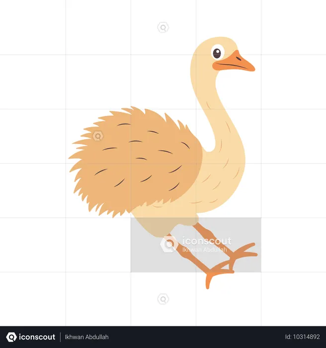 Avestruz fofo freando para parar  Ilustração