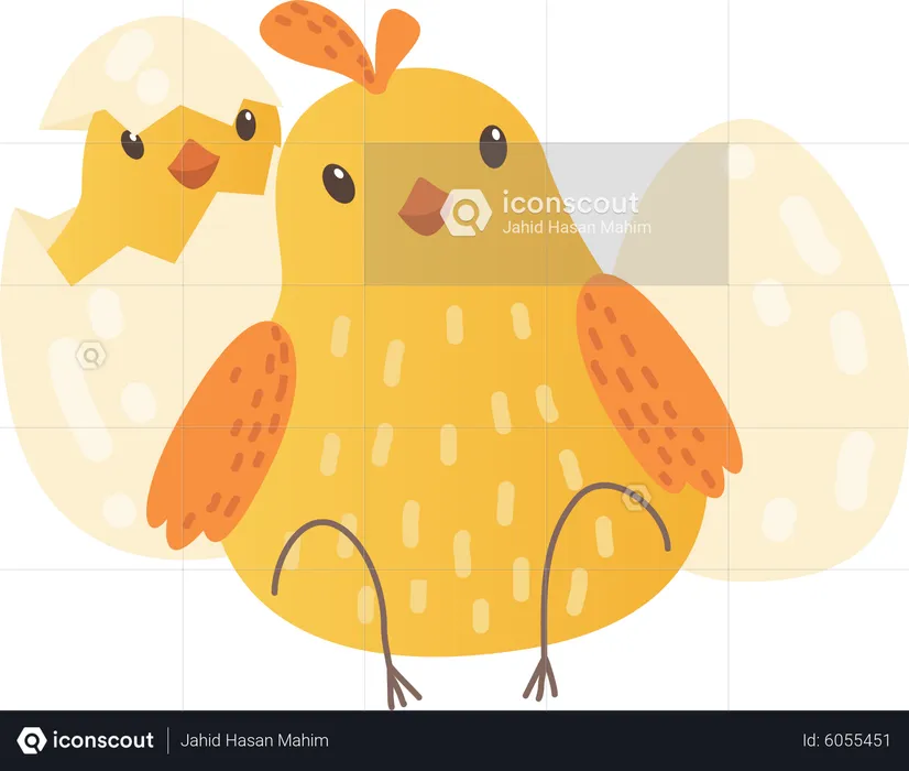 Baby chicken  Illustration
