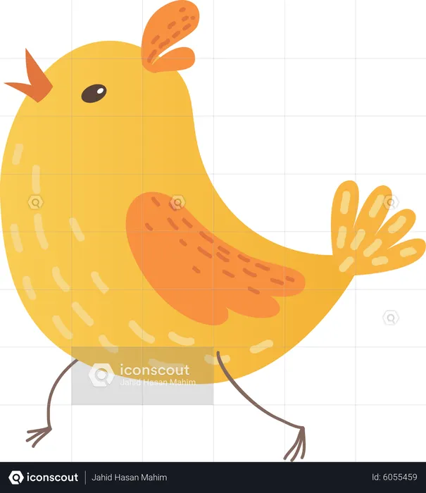 Baby chicken  Illustration