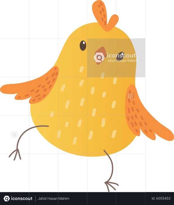 Baby chicken  Illustration