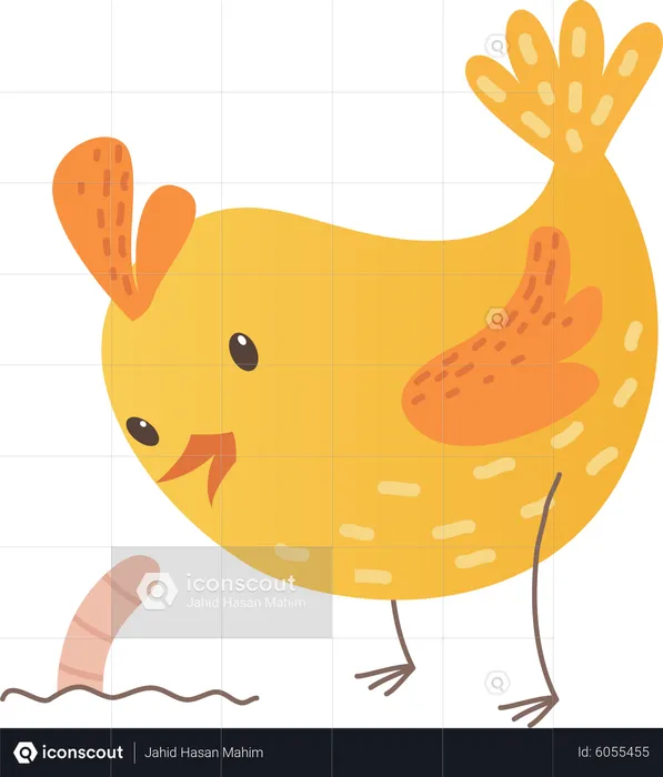 Baby chicken  Illustration