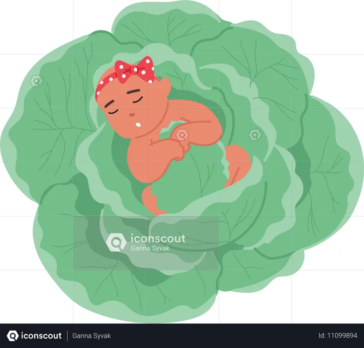 Baby Comfortably Napping On Bed Of Green Cabbage Leaves  Illustration