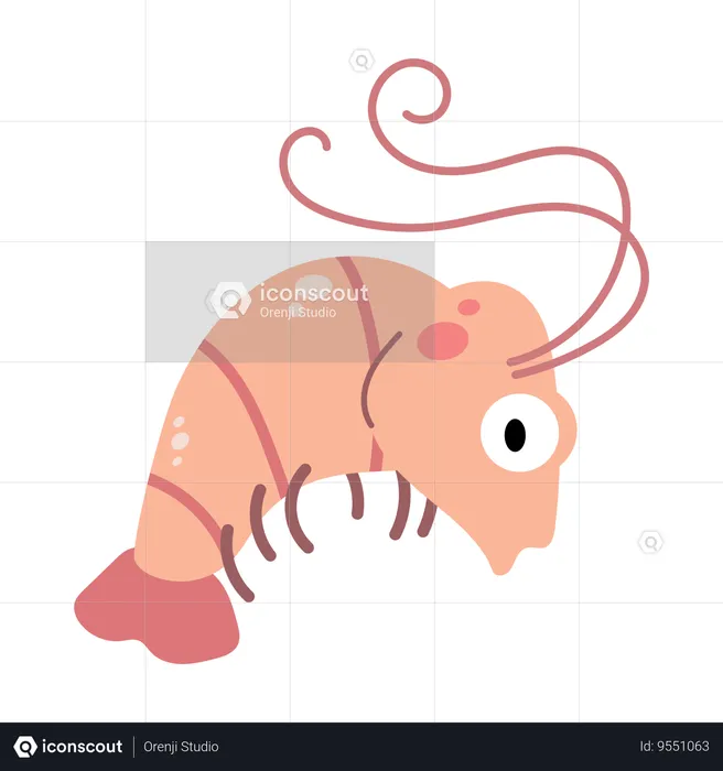 Baby shrimp  Illustration