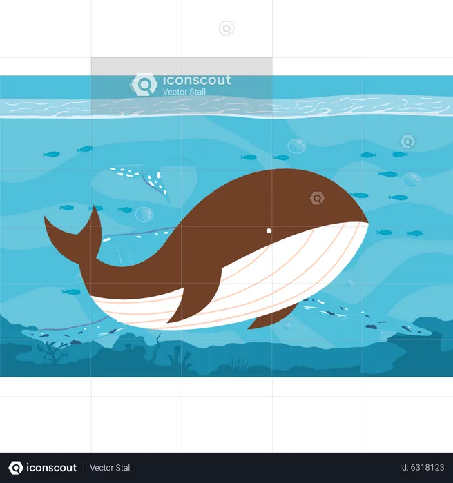 Baleine en mer  Illustration