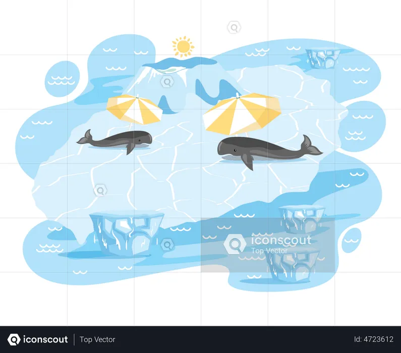 Las ballenas polares sufren el impacto del calentamiento  Ilustración