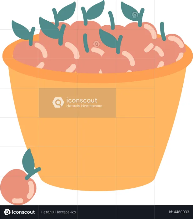 Basket with apples  Illustration