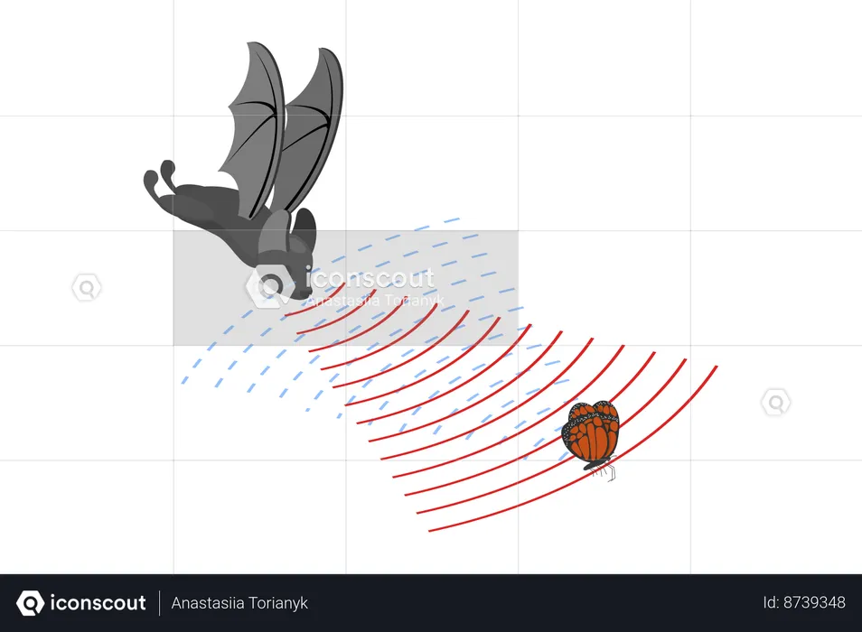 Bat and Sound Waves Reflecting  Illustration