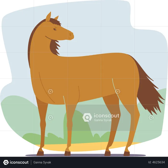Beautiful Brown Horse  Illustration