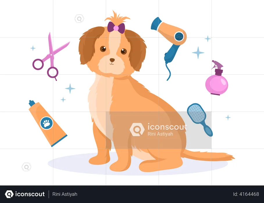 Beauty Salon Service for pet  Illustration