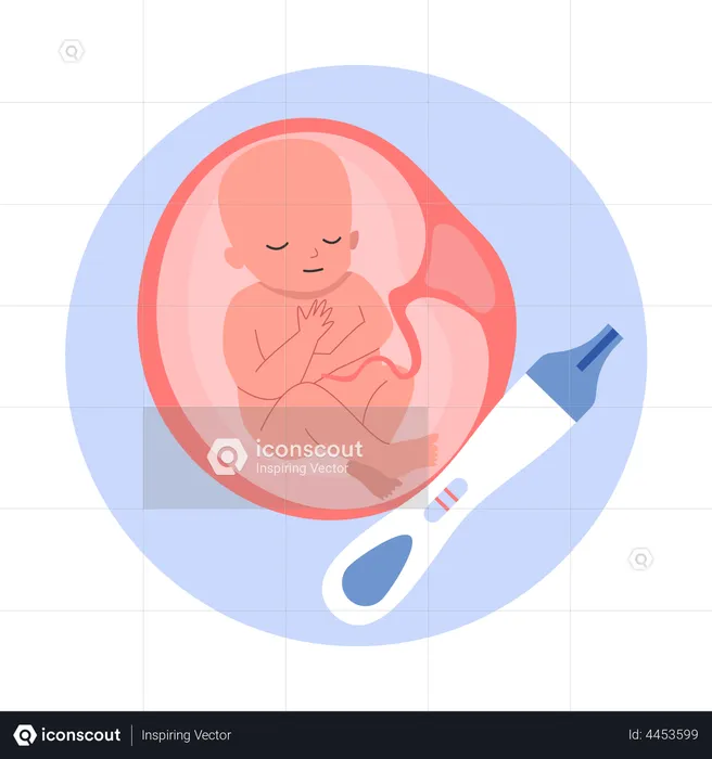 Bebé en el útero  Ilustración