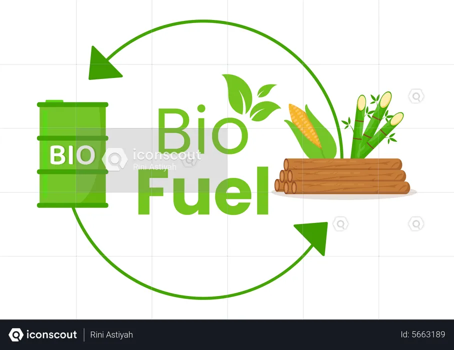 Biofuel Production  Illustration