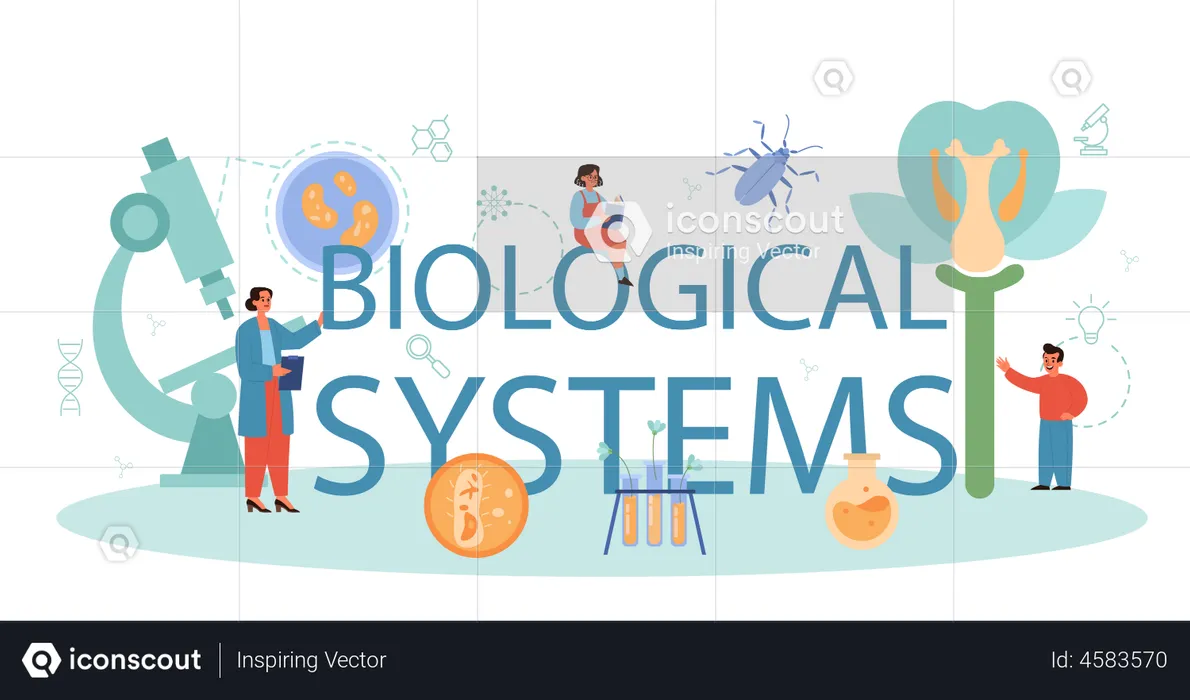 Biological system  Illustration