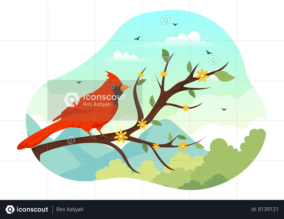 Bird  Illustration