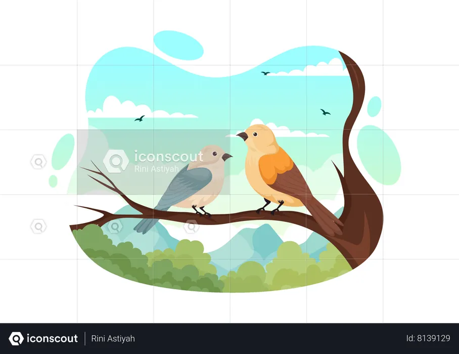 Bird  Illustration