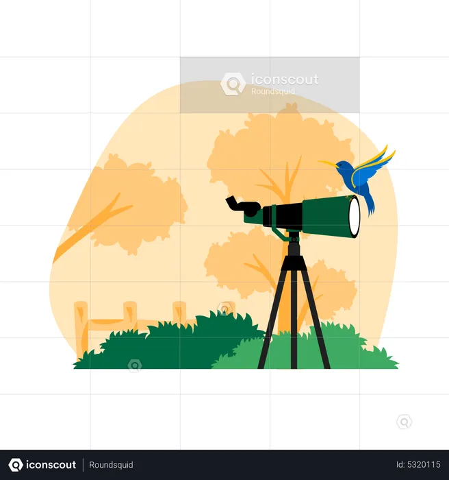 Bird Watch  Illustration