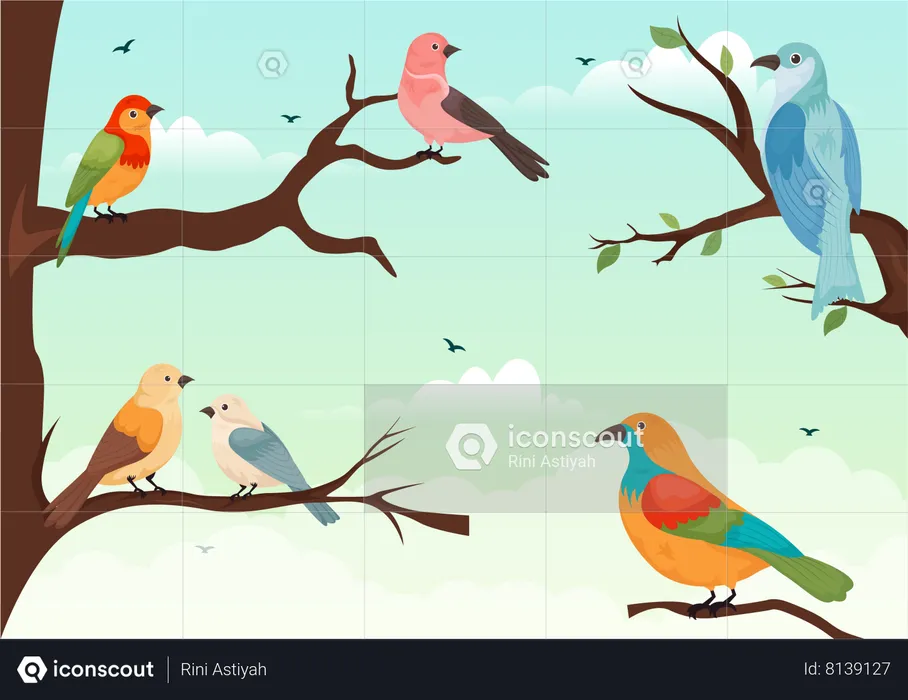 Birds  Illustration