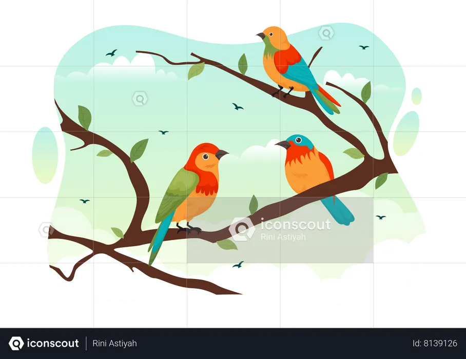 Birds  Illustration