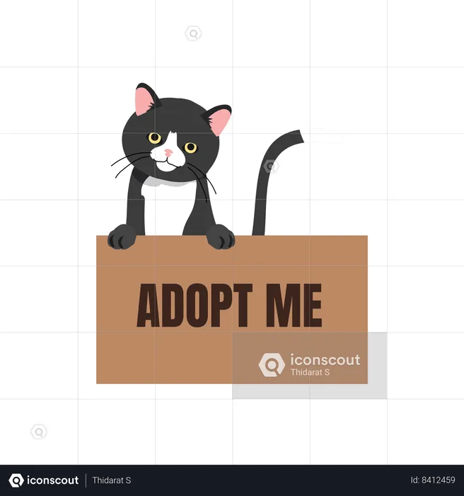 Black Cat in Box with 'Adopt Me' Sign  Illustration