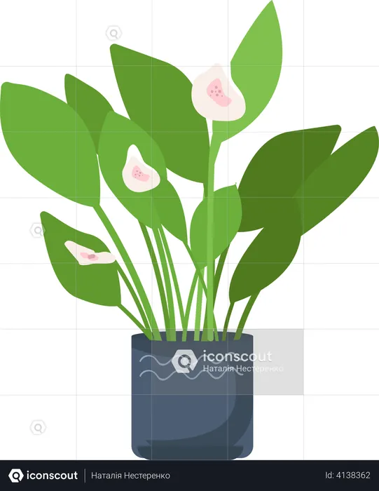 Blooming plant in pot  Illustration