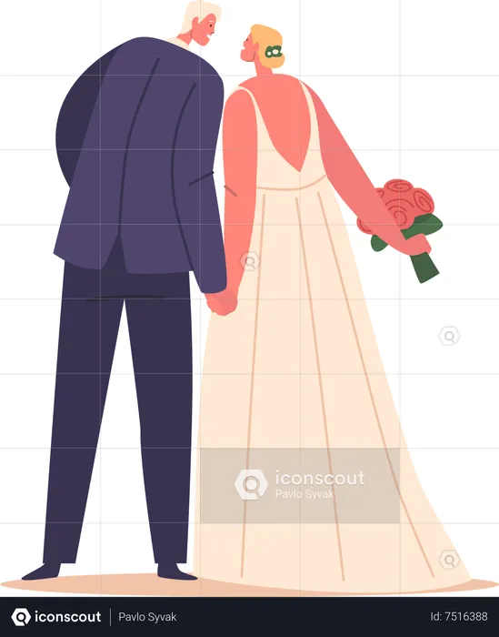 Novia y el novio de la boda  Ilustración