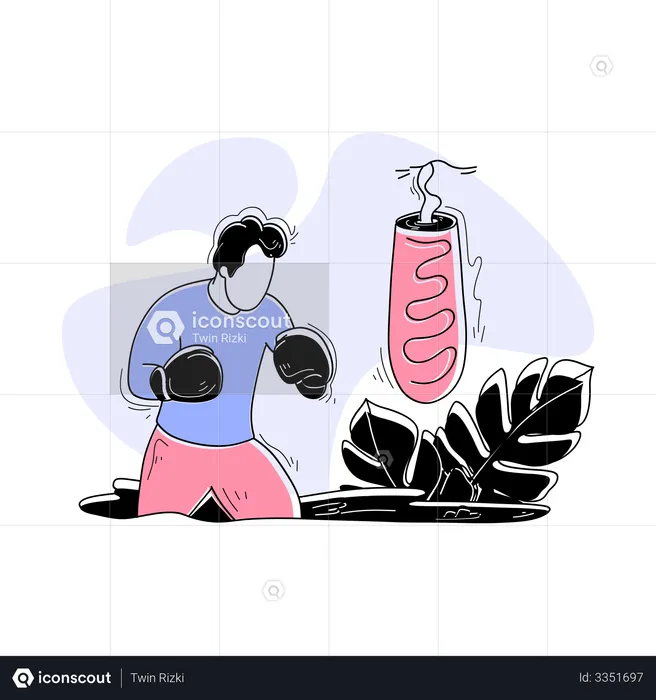Boxer  Illustration