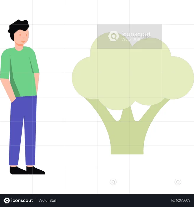 Boy eating broccoli  Illustration