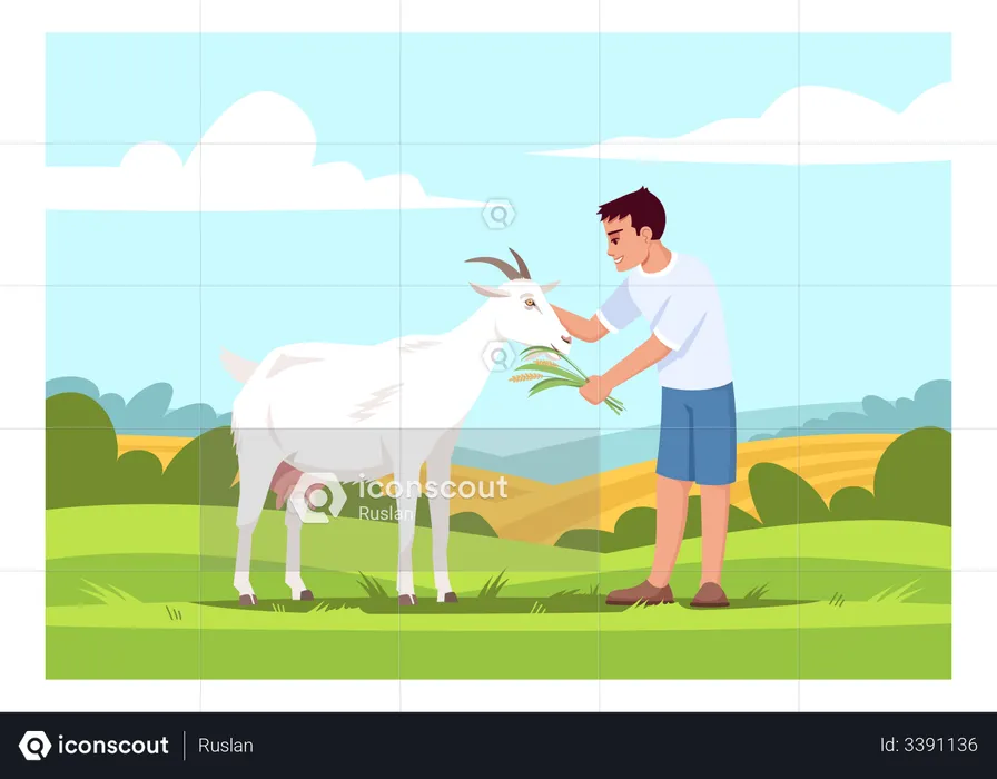 Boy feeding goat  Illustration